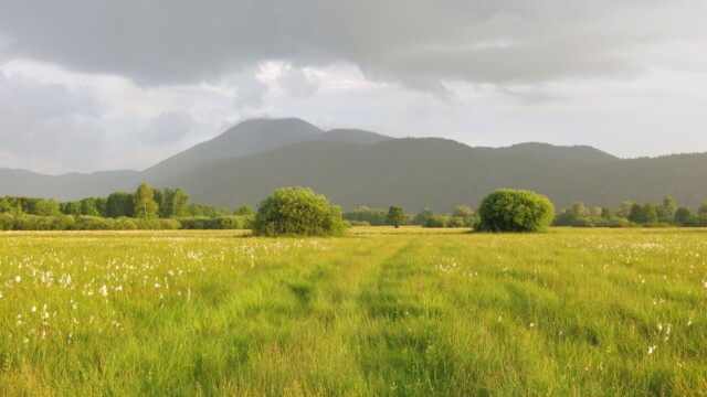 Začenja se ŽivoLjuB – za vrste, habitate in živo Barje