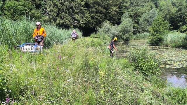 Ribniki v dolini Drage pred veliko obnovo